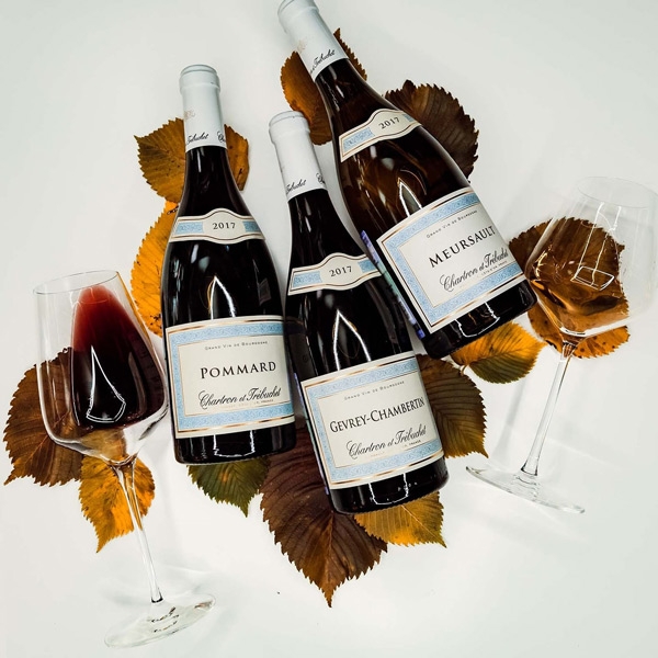 Rượu Vang Pháp Chartron et Trébuchet Meursault 2020