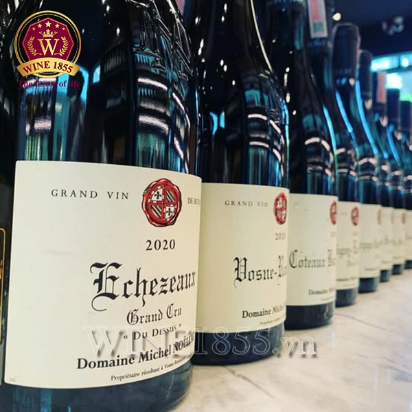 Rượu vang Pháp Domaine Michel Noellat Echezeaux Grand Cru
