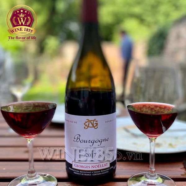 Rượu Vang Pháp Georges Noellat Bourgogne