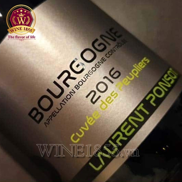 Rượu Vang Pháp Laurent Ponsot Bourgogne Cuvée Des Peupliers
