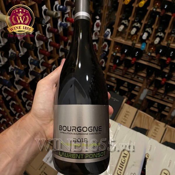 Rượu Vang Pháp Laurent Ponsot Bourgogne Cuvée Des Peupliers