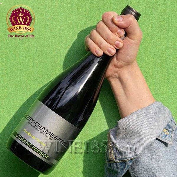 Rượu Vang Pháp Laurent Ponsot Gevrey-Chambertin Cuvée De l’Aulne