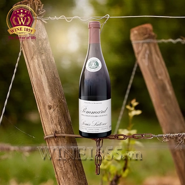 Rượu vang Pháp Louis Latour Pommard