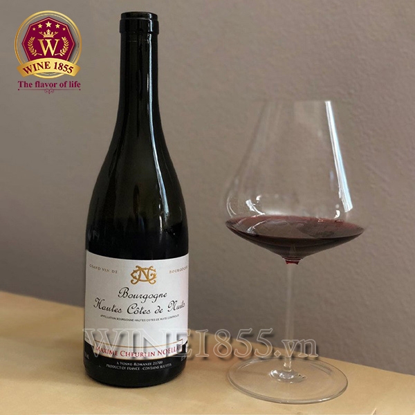 Rượu Vang Pháp Maxime Cheurlin Noellat Bourgogne Hautes Côtes De Nuits