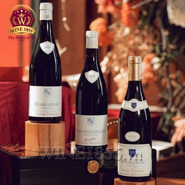 Rượu vang Pháp Pierre Naigeon Bourgogne Hautes-Côtes de Nuits Petite Vigne