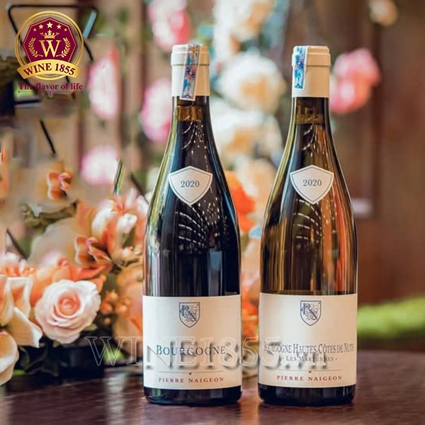 Rượu vang Pháp Pierre Naigeon Bourgogne Pinot Noir