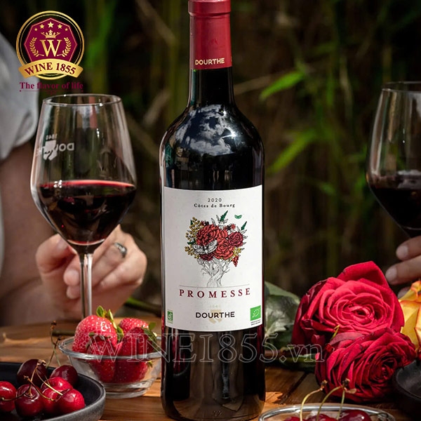 Rượu vang Pháp Promesse De Dourthe