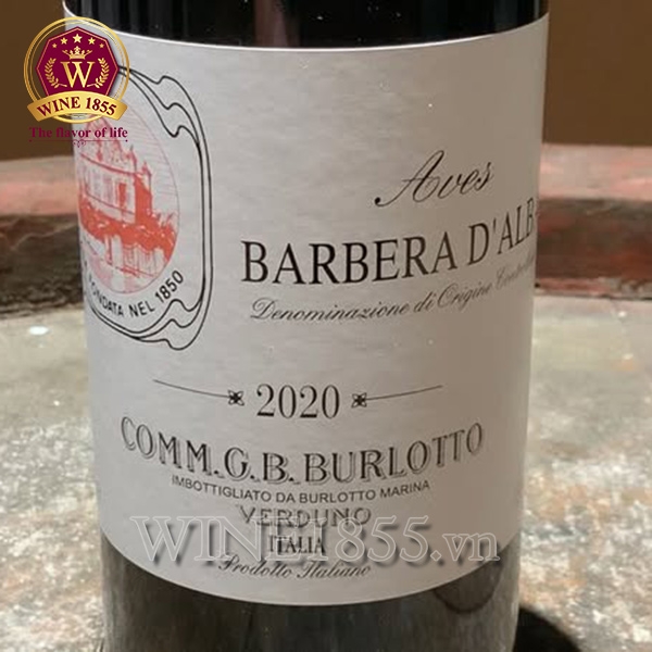 Rượu vang Ý Comm. G.B. Burlotto Aves Barbera D’alba
