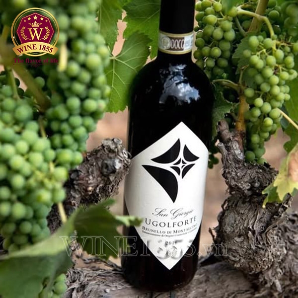 Rượu Vang Ý San Giorgio Ugolforte Brunello Di Montalcino