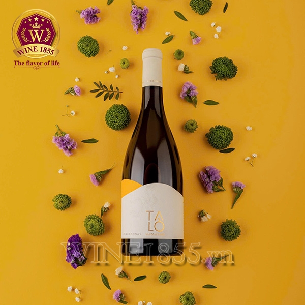 Rượu Vang Ý Talò Chardonnay