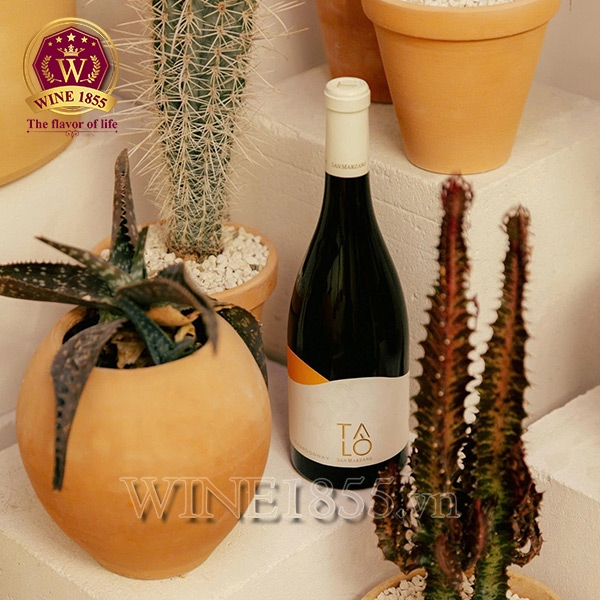 Rượu Vang Ý Talò Chardonnay