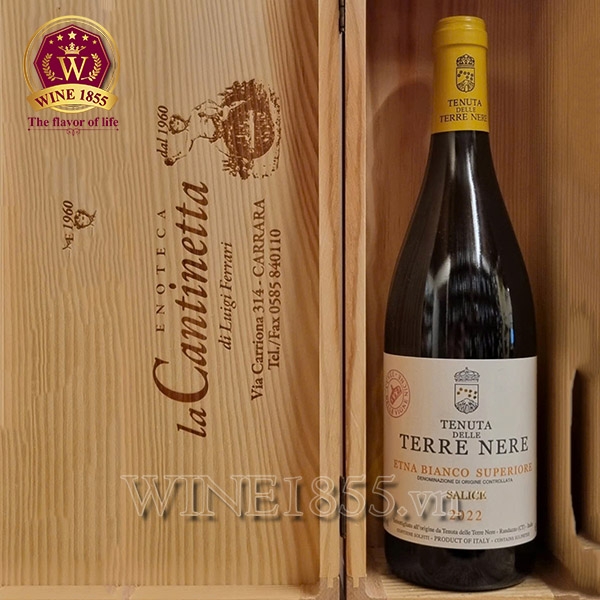 Rượu vang Ý Terre Nere Etna Bianco Salice