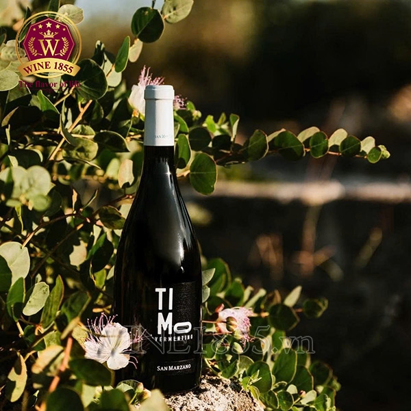 Rượu Vang Ý Timo Vermentino