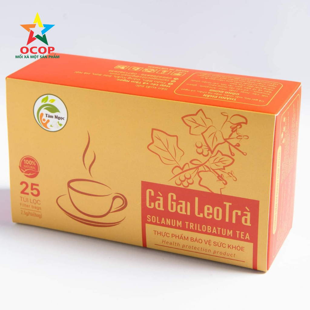 Trà cà gai leo ( hộp 25 túi )