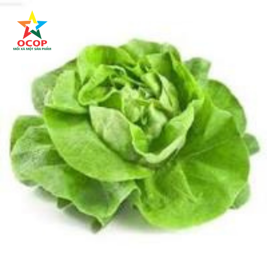 Xà lách cụp 500gr