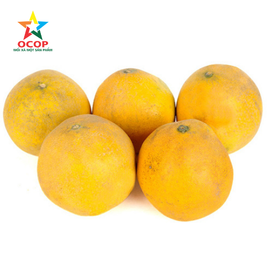 Bưởi sạch Phú Cường loại 1