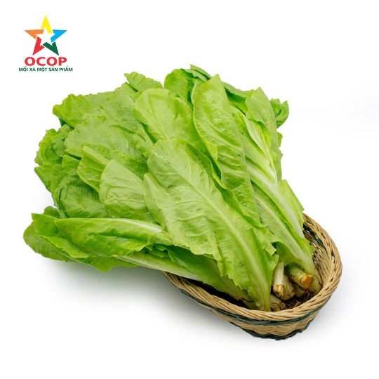 Xà lách cụp 500gr