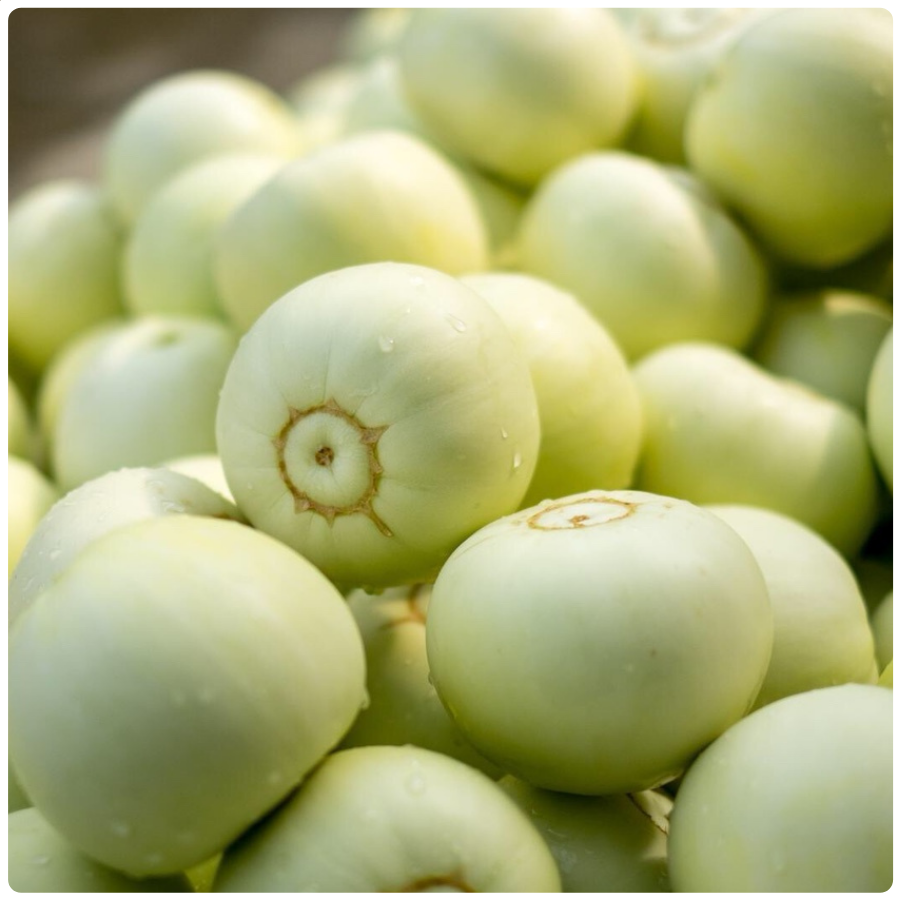 Dưa lê siêu ngọt - Đặc sản Sóc Sơn