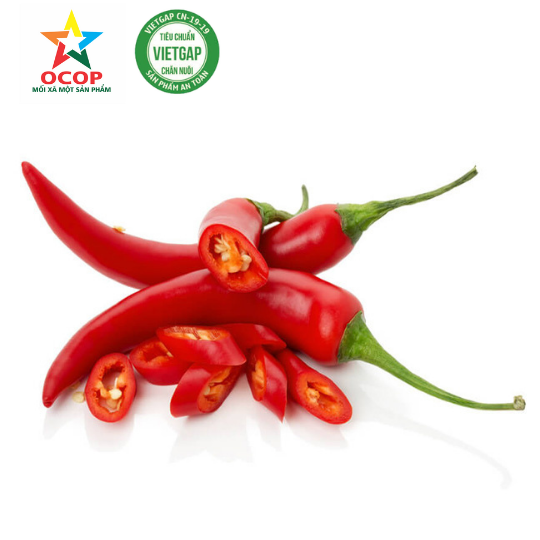 Ớt tươi