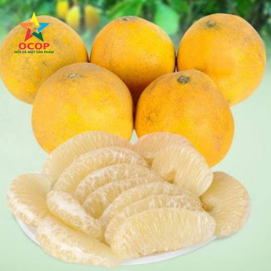 Bưởi sạch Phú Cường loại 2