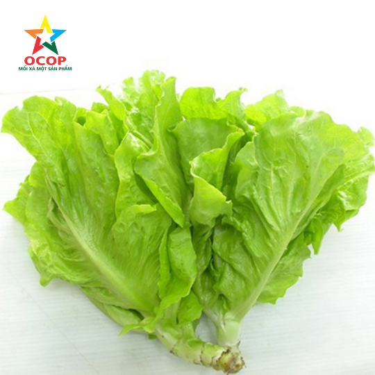 Xà lách cụp 500gr