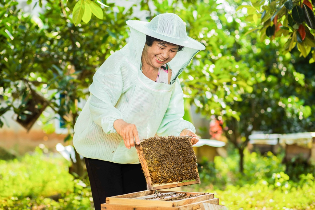 Mật ong hoa rừng Cô Nụ chai tròn