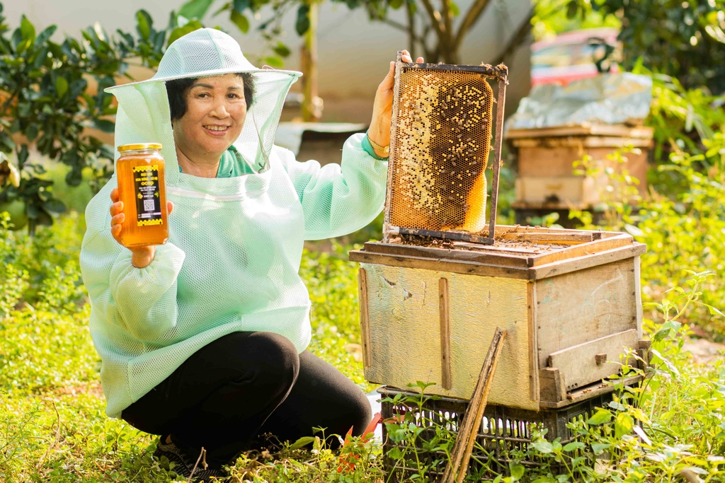 Mật ong hoa rừng Cô Nụ chai tròn