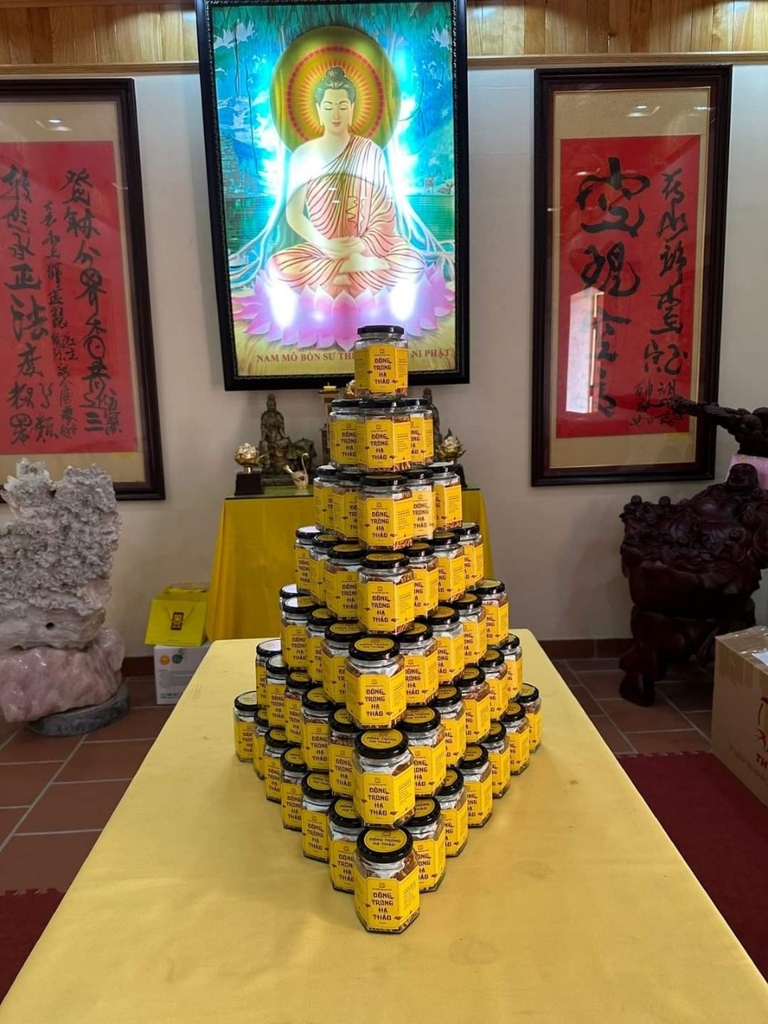 Đông Trùng Hạ Thảo Hoa Sơn Viên