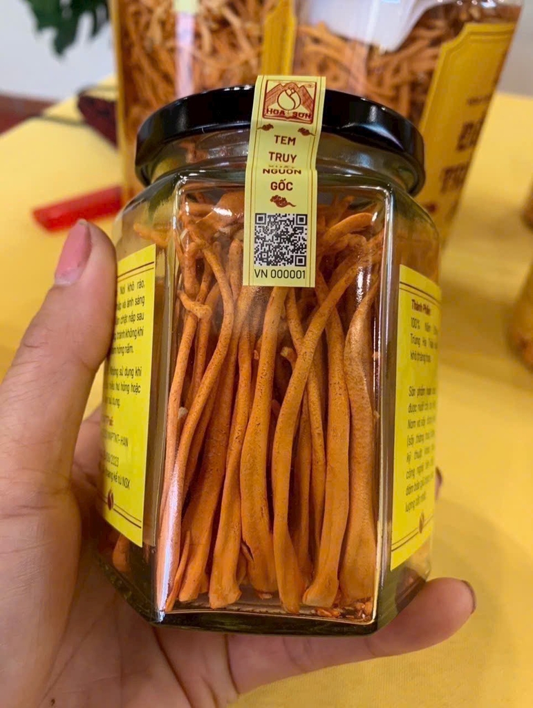 Đông Trùng Hạ Thảo Hoa Sơn Viên