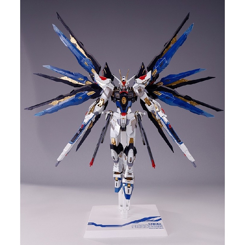 Mô hình lắp ráp MG 1/100 Strike Freedom ver.MB / Expansion pack - Dragon Momoko