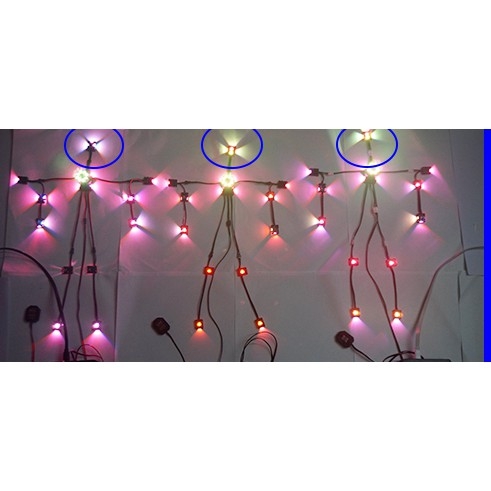 Led daban MJH cho PG 1/60 Exia gundam