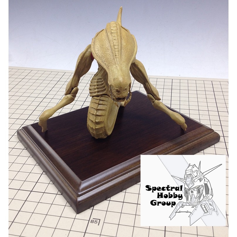 Khay đế gỗ trưng bày mô hình các cỡ size