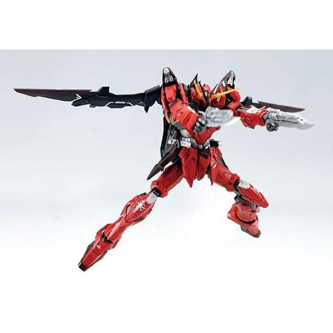 Mô hình lắp ráp MMK MG 1/100 Testament Out Frame D Gundam Dragon Momoko