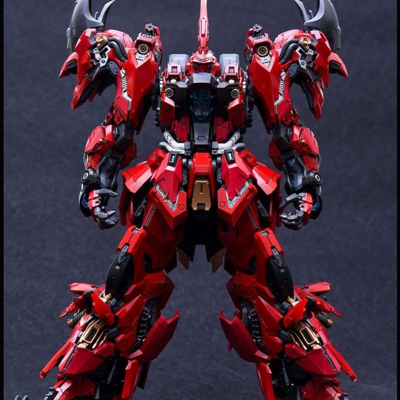 Mô hình lắp ráp MG 1/100 SNAA In ERA+ ERAIN RMD Lizard Metal Frame alloy skeleton