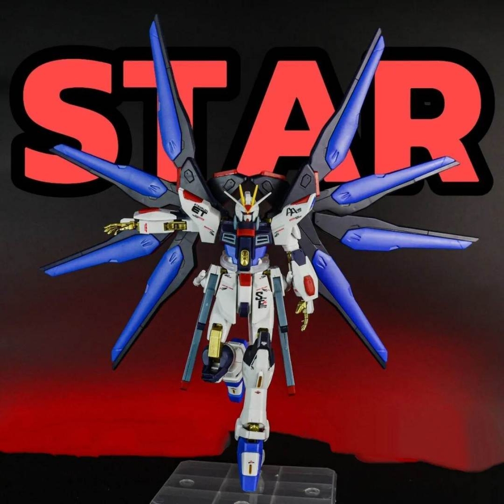 Mô hình lắp ráp HG 1/144 Strike Freedom gundam Type 2 - Star Model