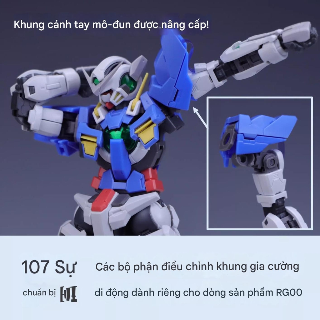 Phụ kiện nâng cấp Upgrade Frame cho dòng RG 00 Series ( exia, 00raiser, Qant, Astraea,...) - C107
