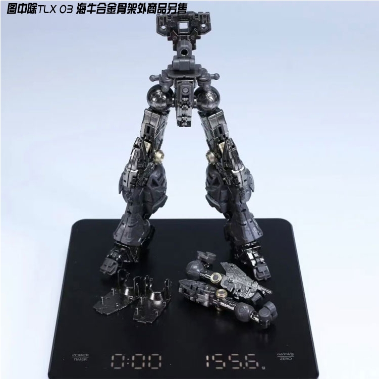 Phụ kiện TLX03 Bộ xương kim loại metal frame cho RG Hi-V Hinu RX93-v2