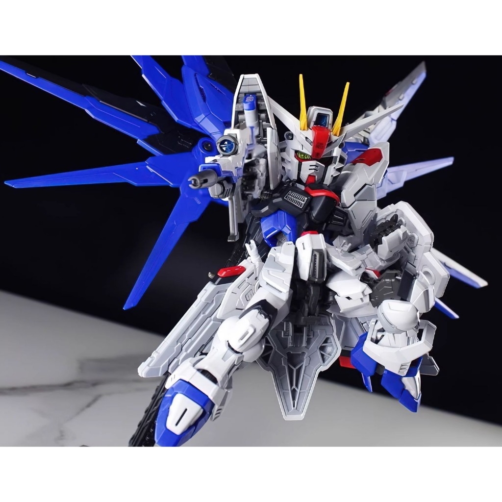 Mô hình lắp ráp Gao Gao mgsd freedom X10A - clear ver