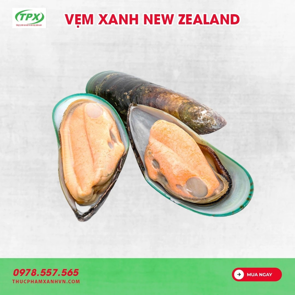 VẸM XANH NEW ZEALAND SIZE 20/25