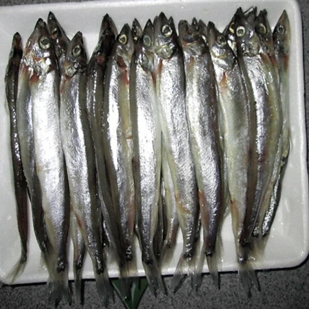 CÁ TRỨNG NAUY