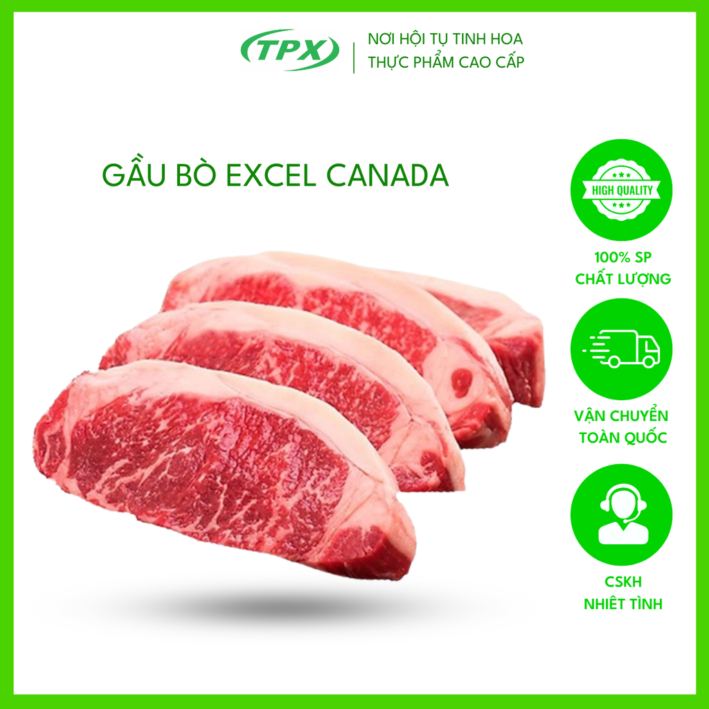 GẦU BÒ EXCEL CANADA