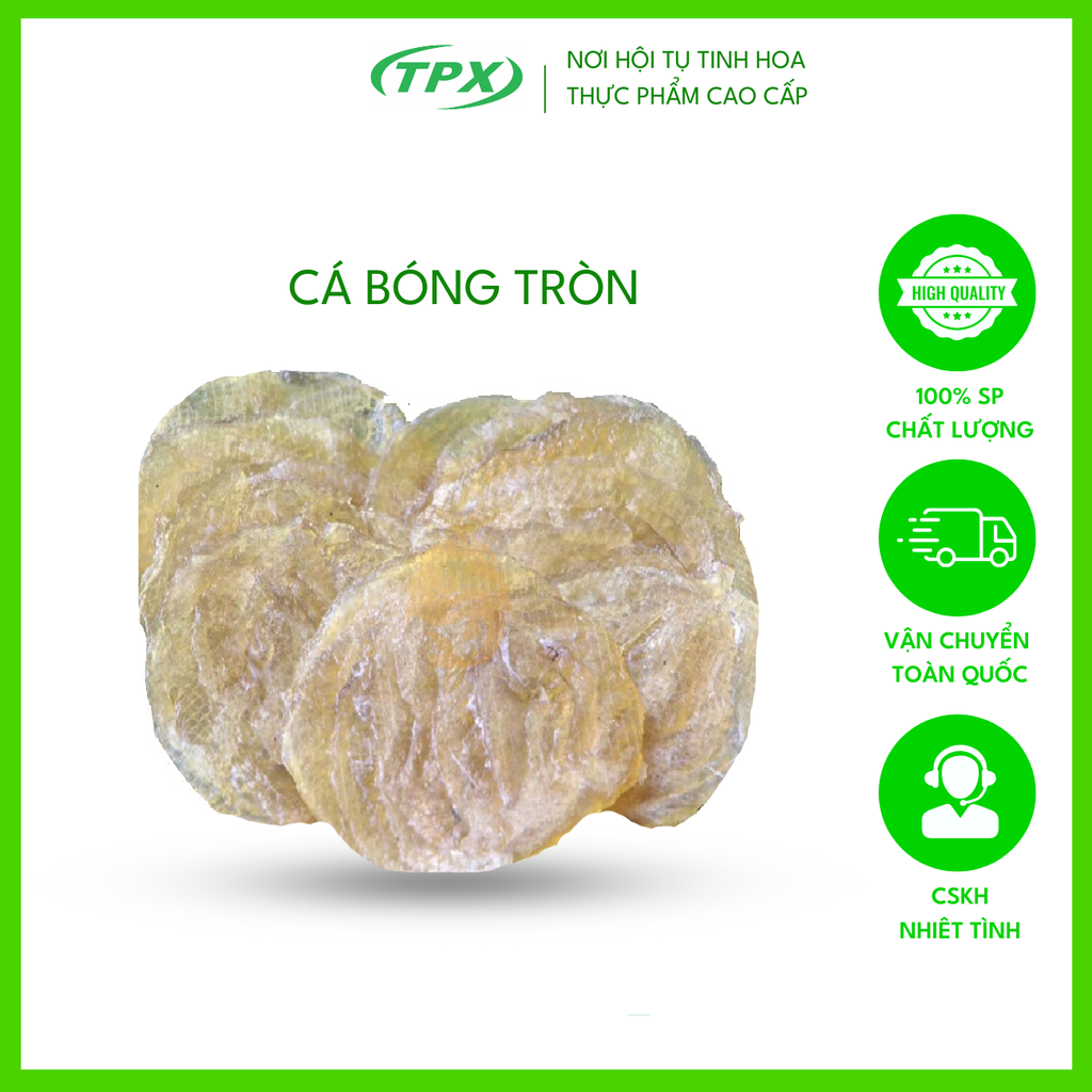 CÁ BÓNG TRÒN