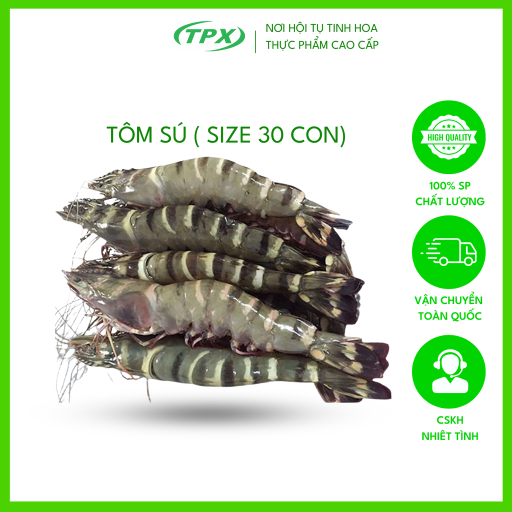 TÔM SÚ SIZE 30 CON
