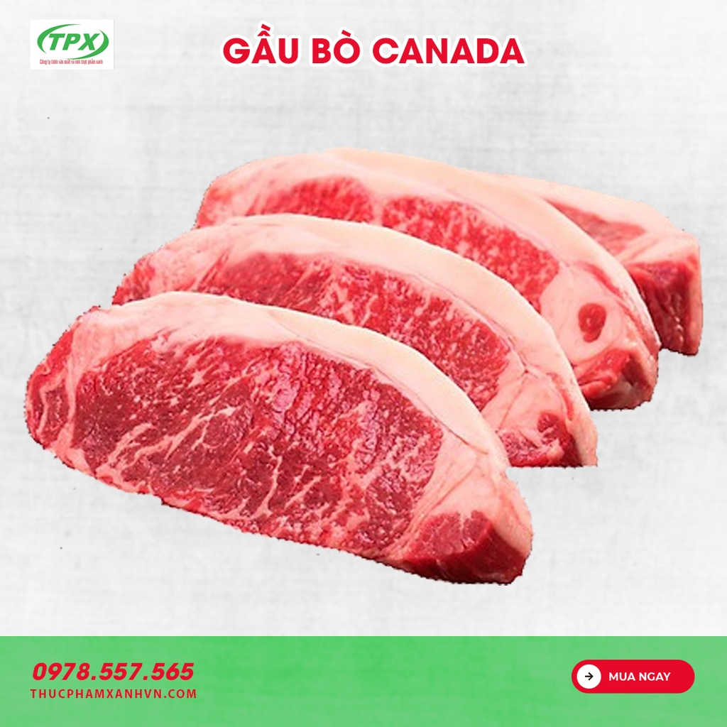 GẦU BÒ JBS CANADA AAA