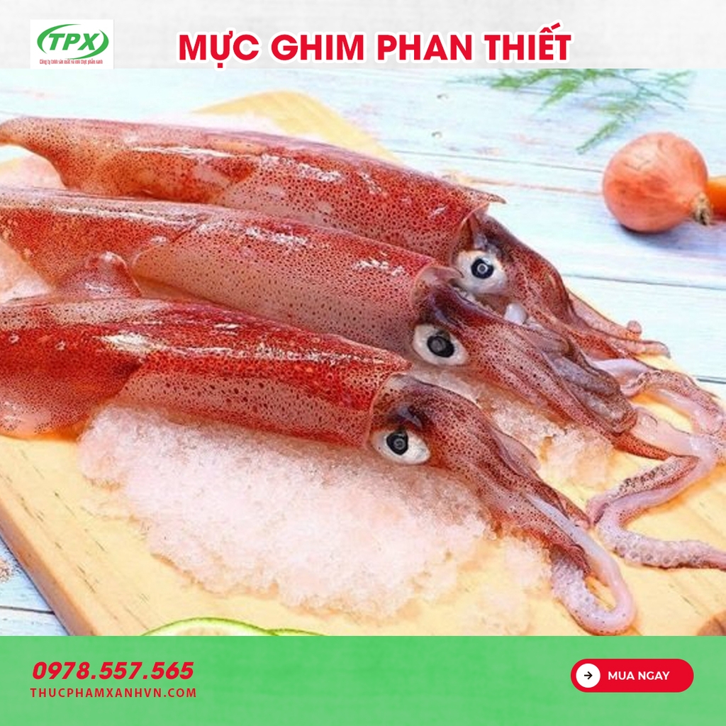 MỰC GHIM PHAN THIẾT BLOCK SIZE 12-15upA