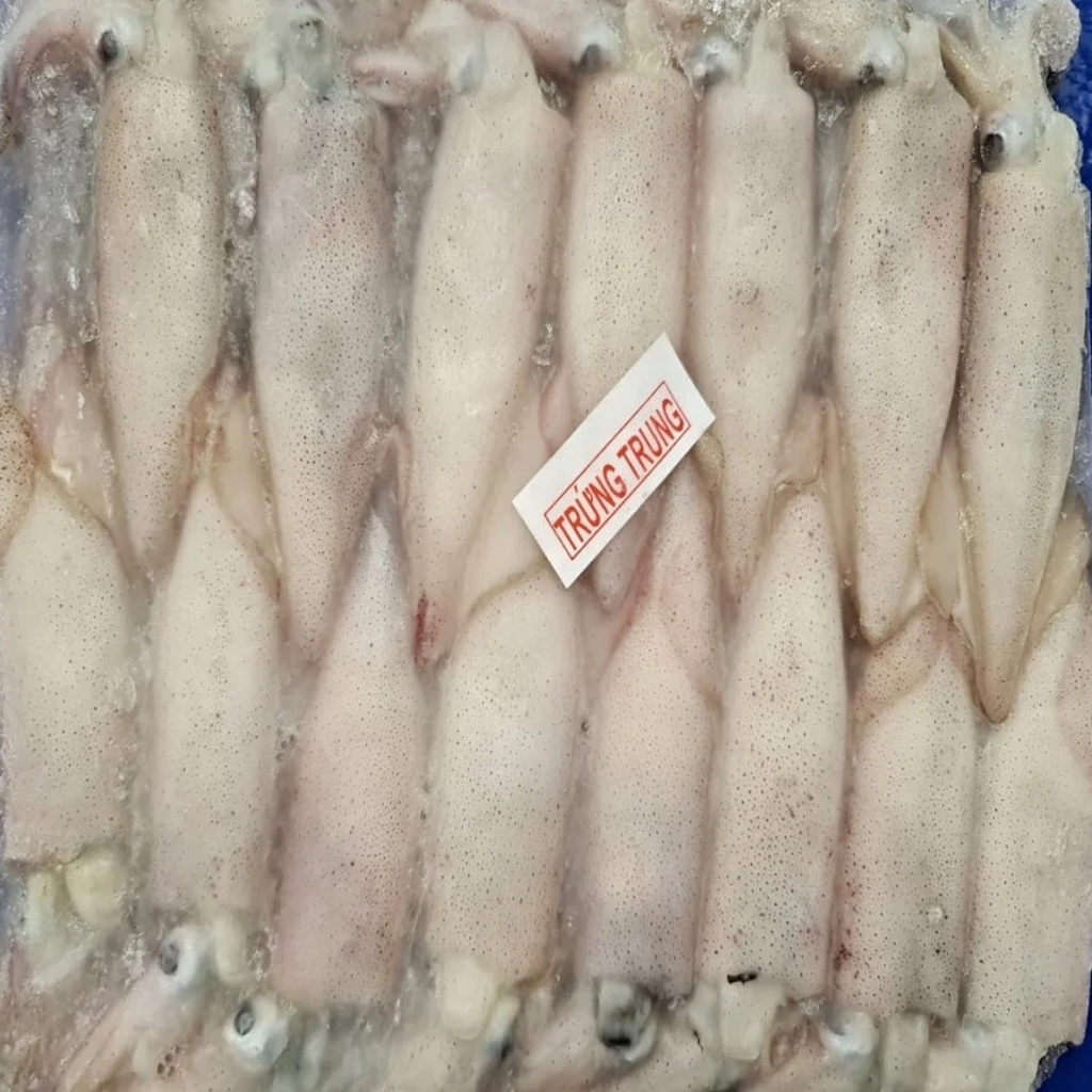 MỰC TRỨNG XÔI CÂU SIZE 14/18 CON