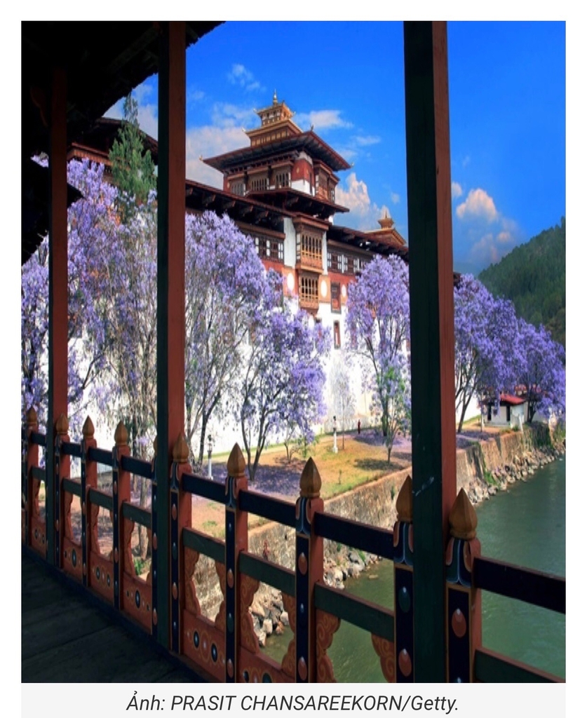 Hương trầm Hi Mã Lạp Sơn 