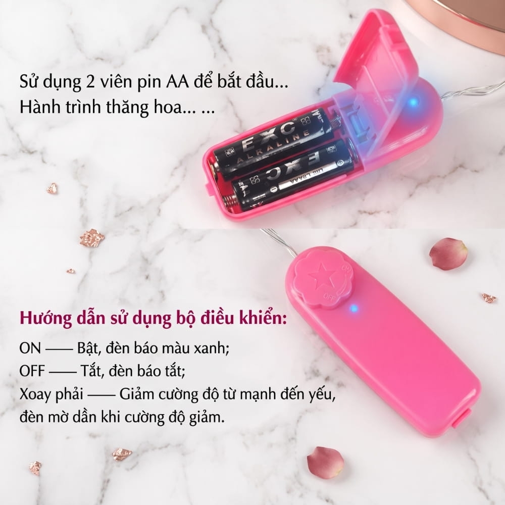 Trứng rung 2 đầu