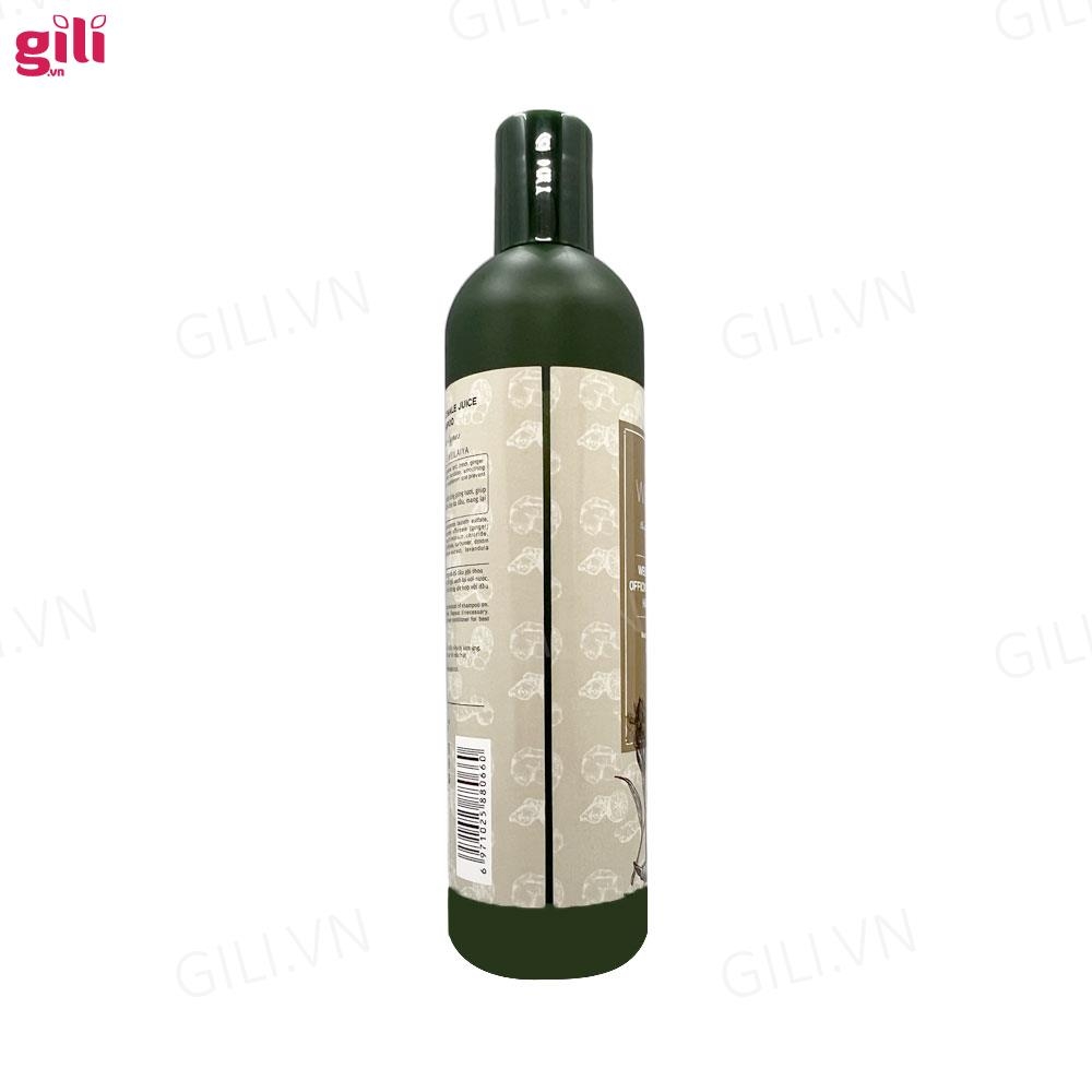Bộ gội xả Hà Thủ Ô Weilaiya Zingiber 400ml + 250ml chính hãng