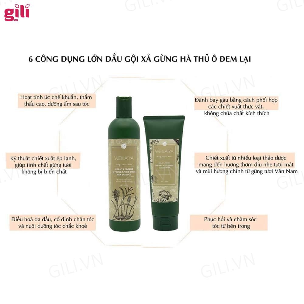 Bộ gội xả Hà Thủ Ô Weilaiya Zingiber 400ml + 250ml chính hãng